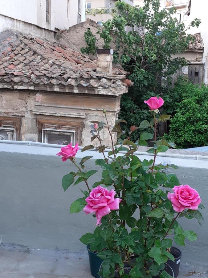 17 Flats And Roof Garden Apartment Atena Exterior foto